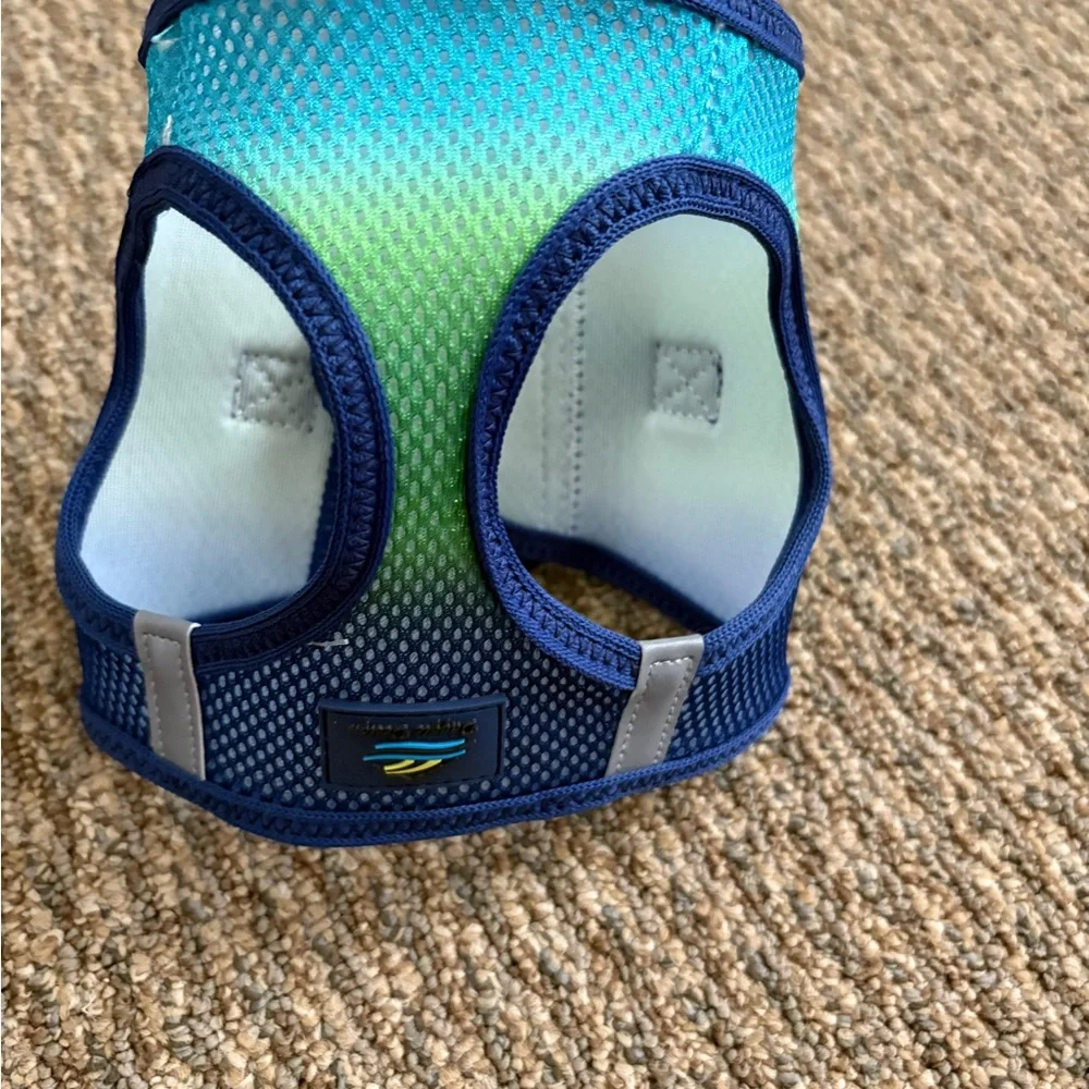 Blue-Green Choke Free Mesh Dog Harness Small